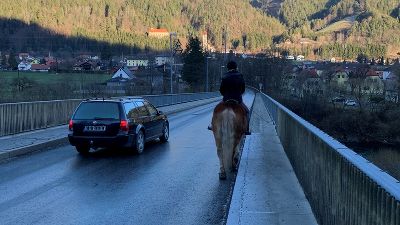 Rücksichtvolle Autofahrer halten einen Sicherheitsabstand zum Pferd. 