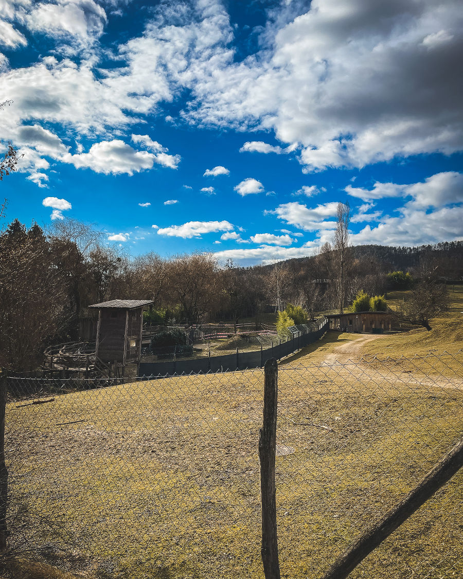 Der "Dirtpark" in Herberstein war wohl geschlossen.